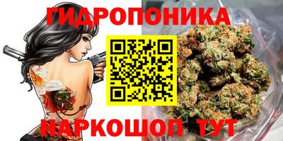 мяу мяу мука Ефремов