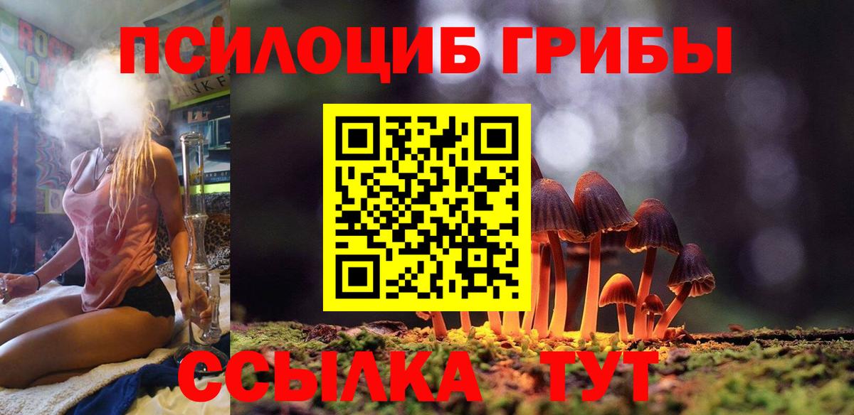 Псилоцибиновые грибы Magic Shrooms  Вход с VPN  Гатчина  Псилоцибиновые грибы Cubensis 